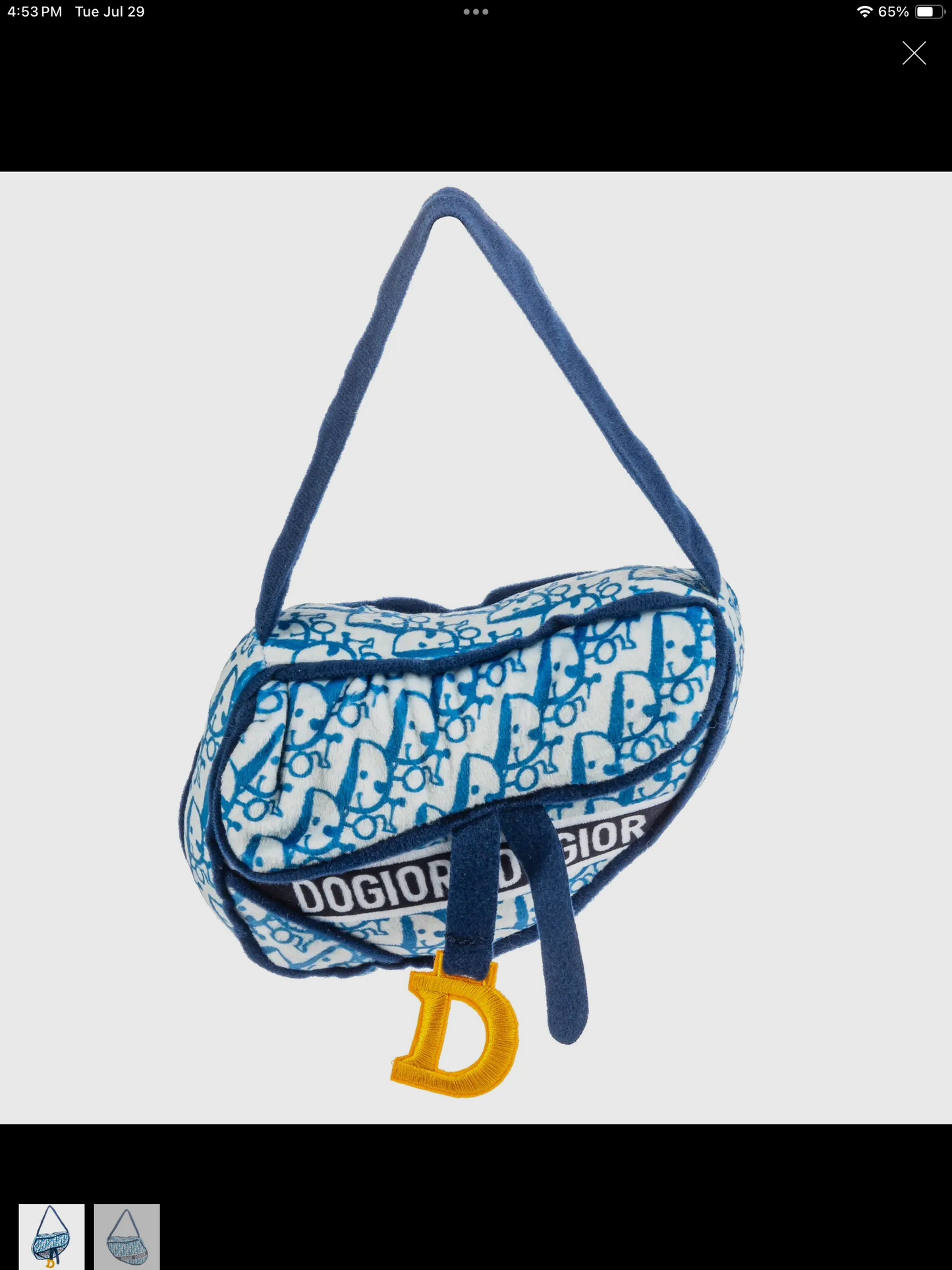 Dog Toy #10