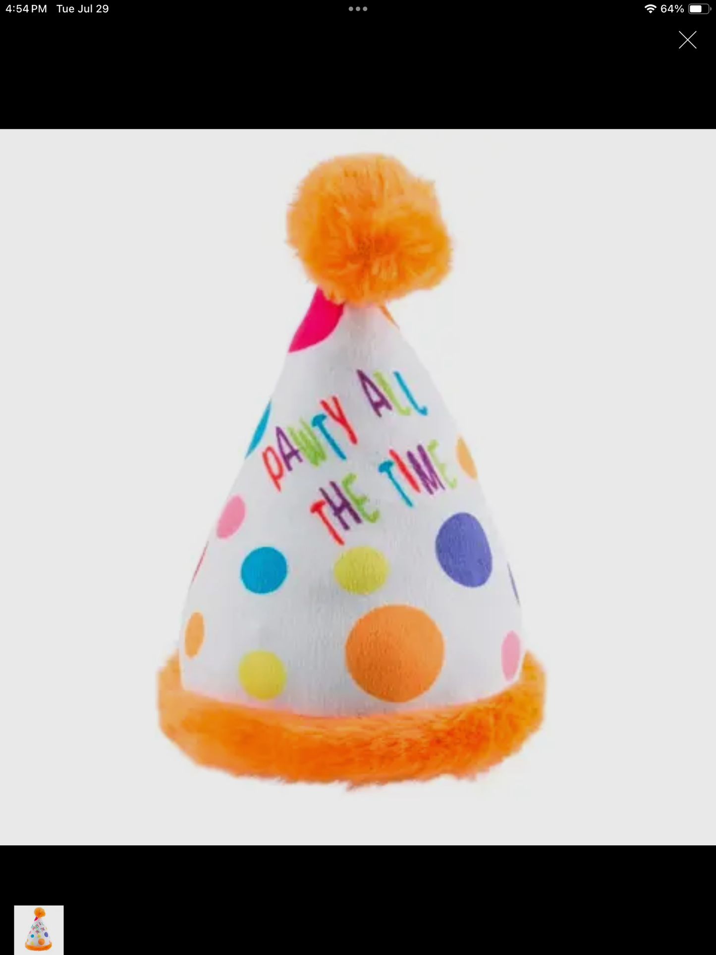Dog Toy #5