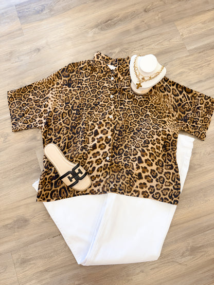 Bella Top