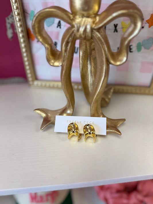 FC Earrings #77