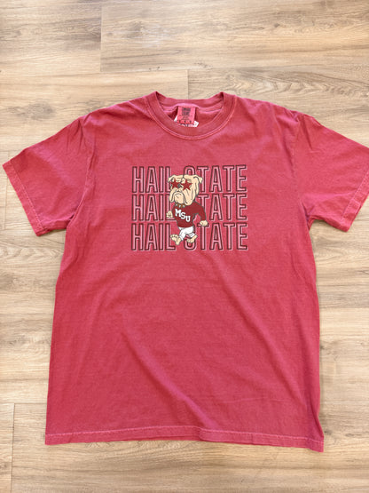 HailState Tshirt